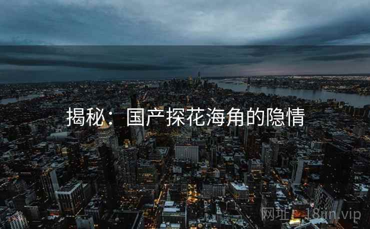 揭秘:国产探花海角的隐情  第2张 揭秘:国产探花海角的隐情  第2张