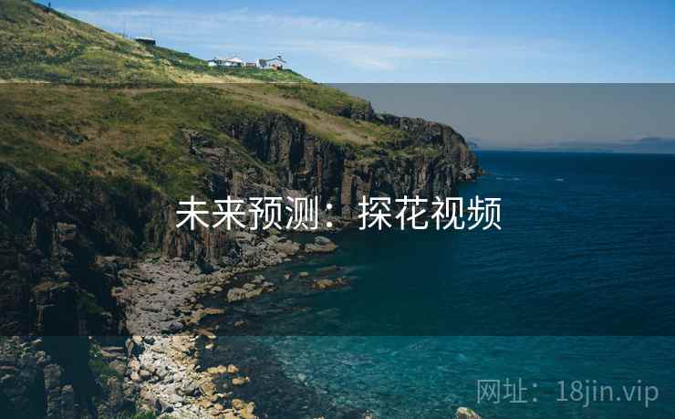 未来预测：探花视频