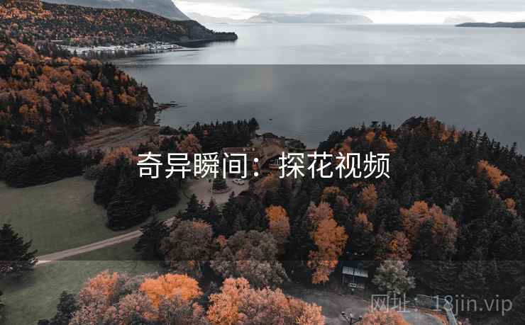 奇异瞬间:探花视频  第2张 奇异瞬间:探花视频  第2张