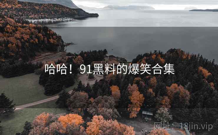 哈哈!91黑料的爆笑合集  第1张 哈哈!91黑料的爆笑合集  第1张