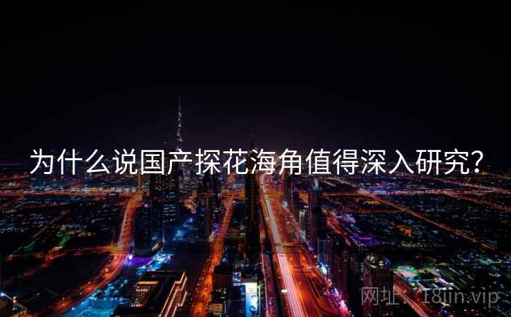 为什么说国产探花海角值得深入研究?  第2张 为什么说国产探花海角值得深入研究?  第2张