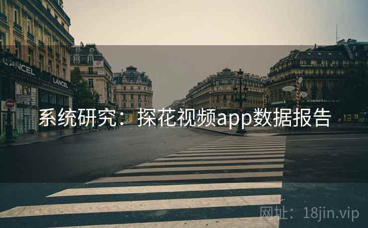 系统研究:探花视频app数据报告