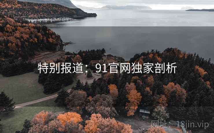 特别报道:91官网独家剖析