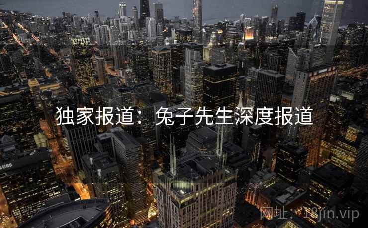 独家报道:兔子先生深度报道