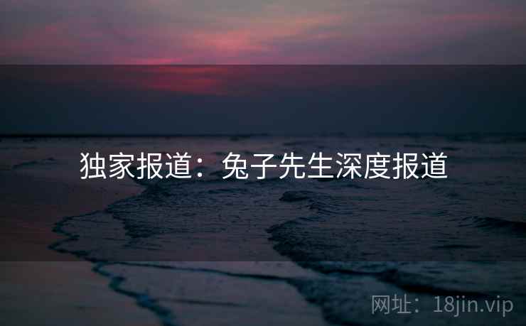独家报道:兔子先生深度报道
