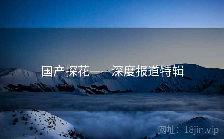 国产探花——深度报道特辑