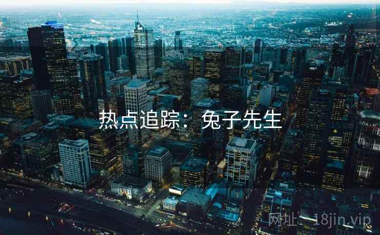 热点追踪：兔子先生