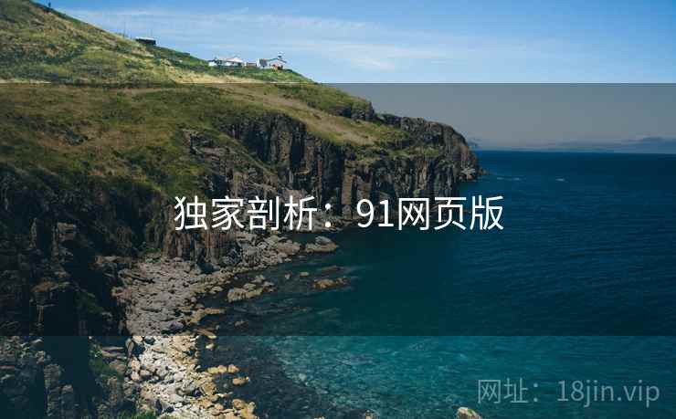 独家剖析:91网页版